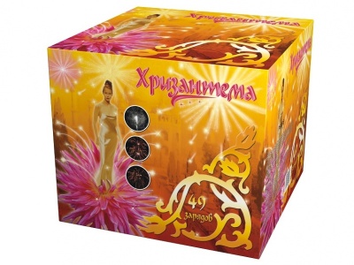 Хризантема Салют купить в Нижнем Новгороде | nizhnij-novgorod.salutsklad.ru