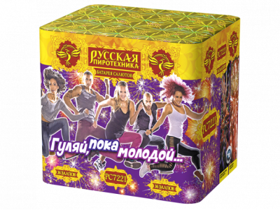 Гуляй, пока молодой Салют купить в Нижнем Новгороде | nizhnij-novgorod.salutsklad.ru